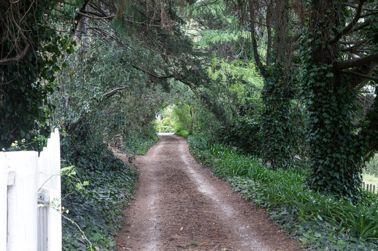 דירות האבלוק נורת' The Leafy Flat מראה חיצוני תמונה